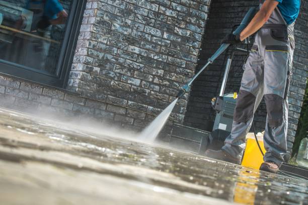 Best Gutter Cleaning  in Harvey, IL
