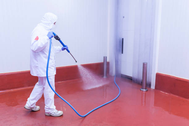 Best Boat and Dock Cleaning  in Harvey, IL