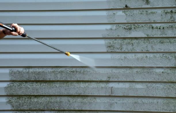 Best Driveway Pressure Washing  in Harvey, IL