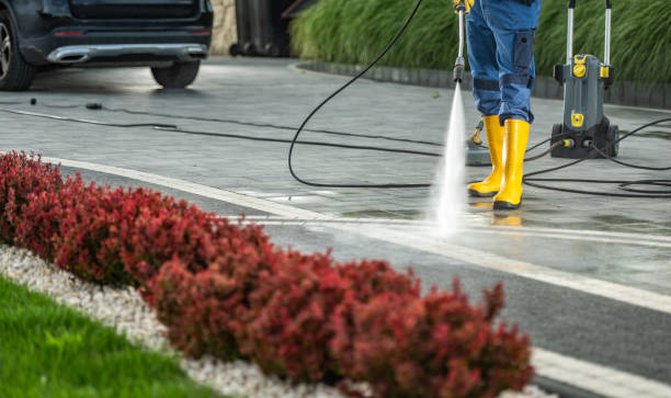 Best Fence Cleaning  in Harvey, IL